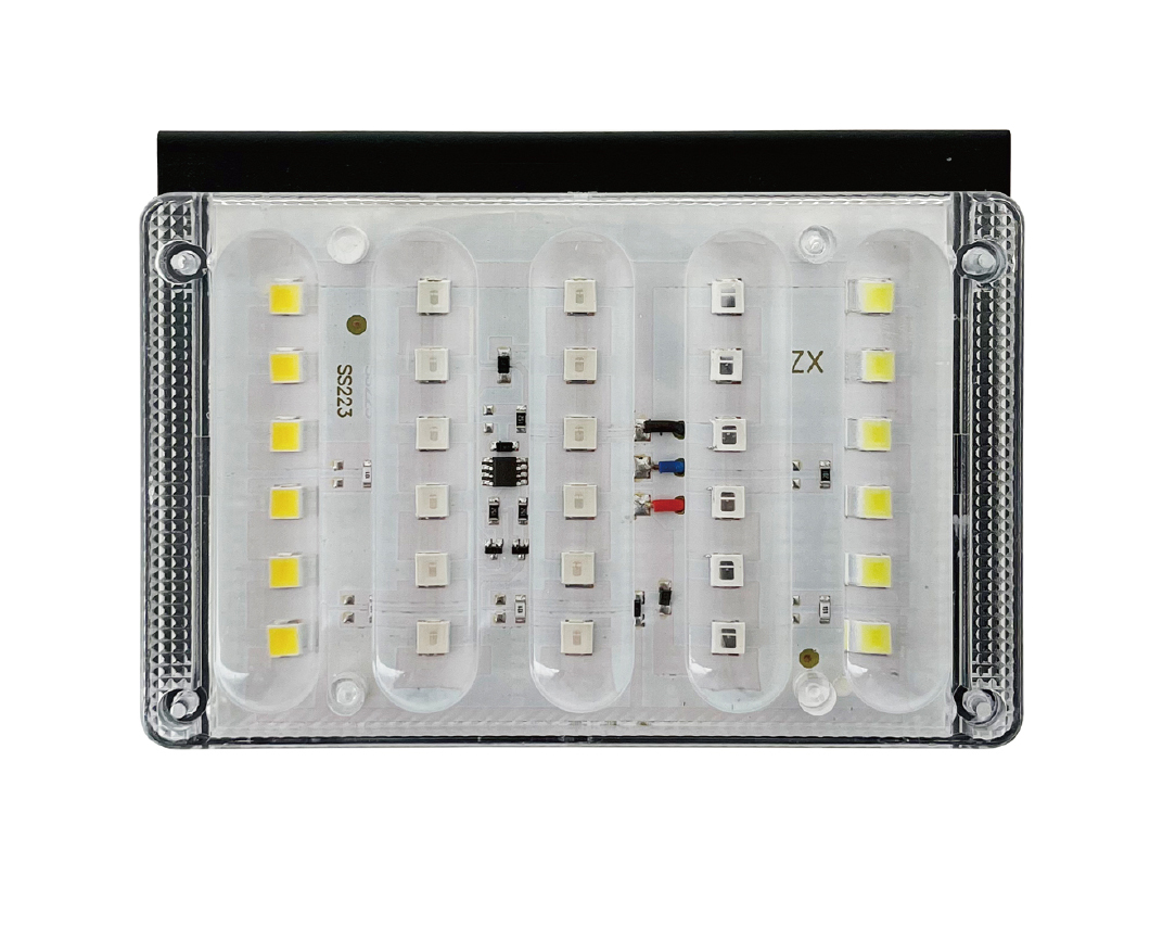 JSWD-0020